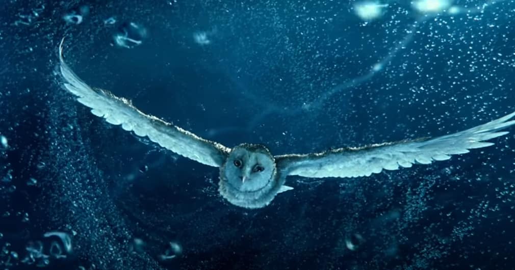 Guardian Owls - Zack Snyder