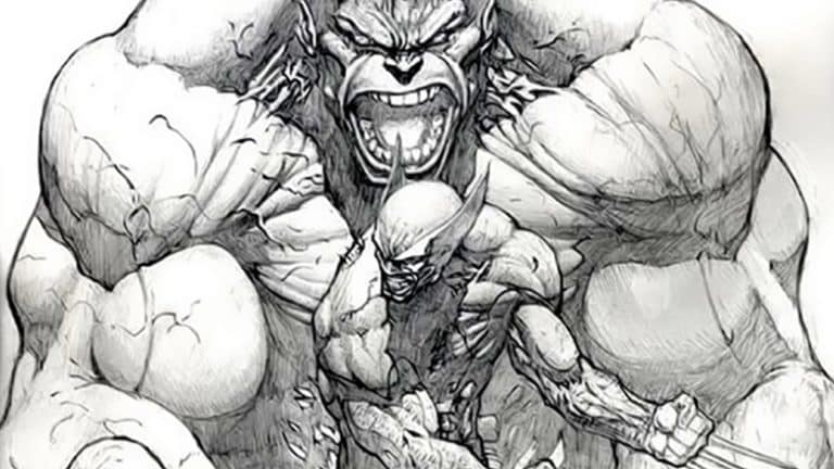 Awesome Photo of The Incredible Hulk and Wolverine