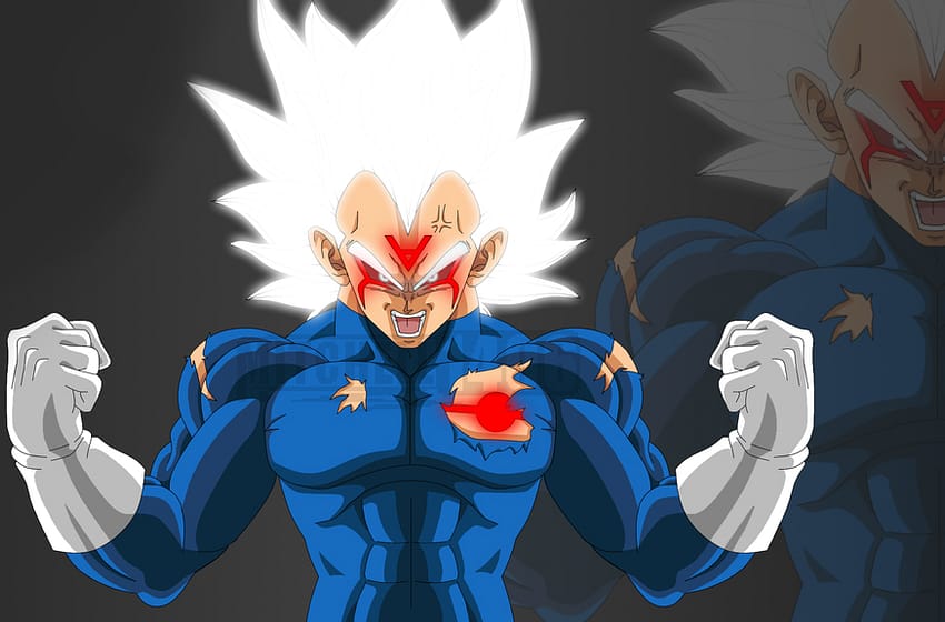 Super Saiyan White Omni God Vegeta